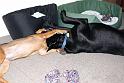 Sandy and Bas_08-05-17_0002